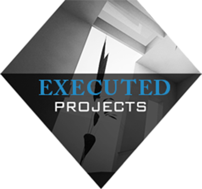 Executed Projects